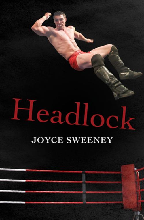 Cover of the book Headlock by Joyce Sweeney, Open Road Media