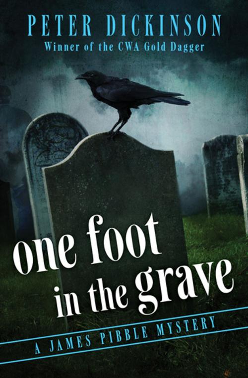 Cover of the book One Foot in the Grave by Peter Dickinson, Open Road Media