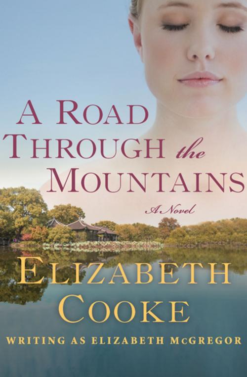 Cover of the book A Road Through the Mountains by Elizabeth Cooke, Open Road Media