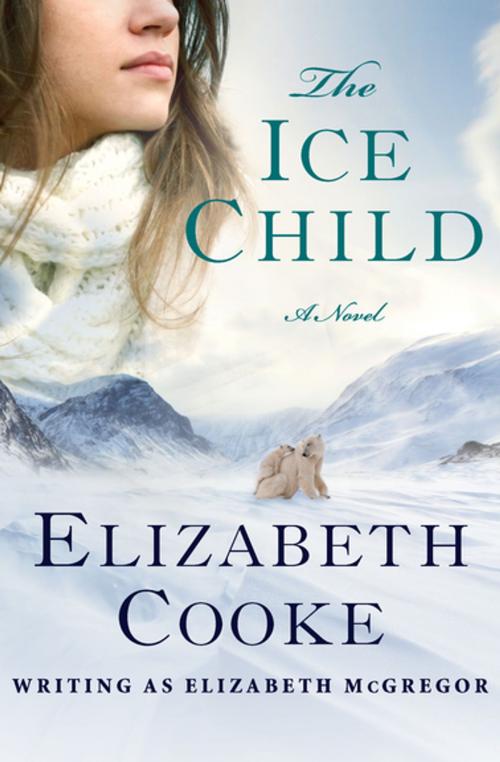 Cover of the book The Ice Child by Elizabeth Cooke, Open Road Media