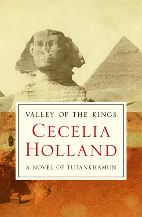 Cover of the book Valley of the Kings by Cecelia Holland, Open Road Media