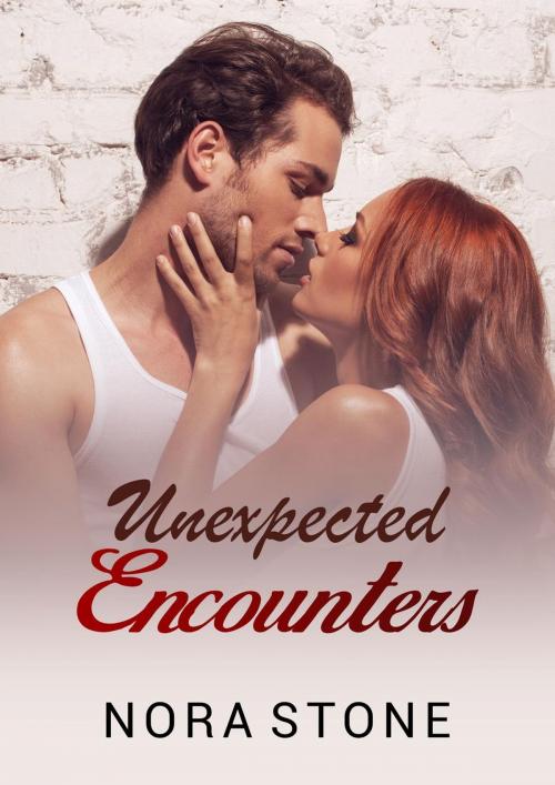 Cover of the book Unexpected Encounters by Nora Stone, Mahogany Publications