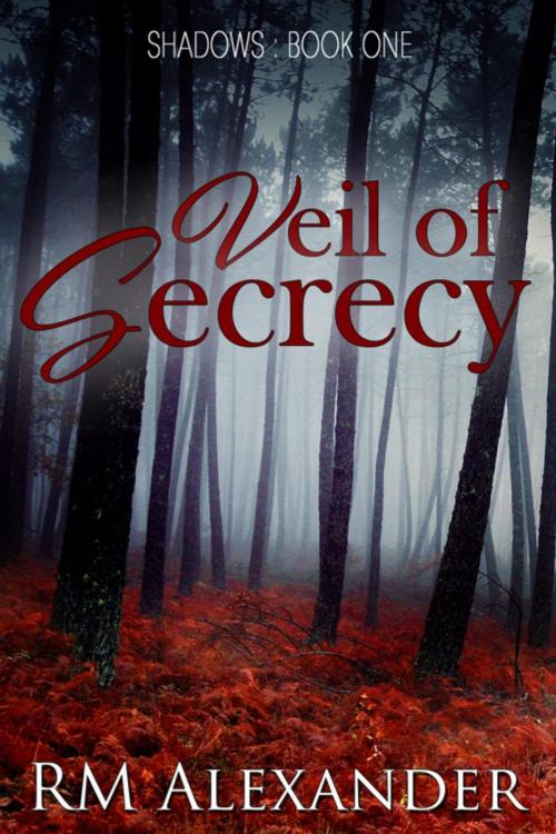 Cover of the book Veil of Secrecy by RM Alexander, RM Alexander