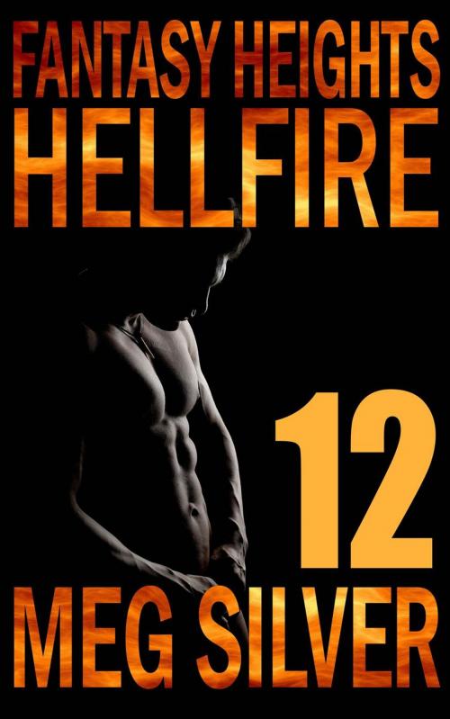 Cover of the book Hellfire by Meg Silver, Meg Silver