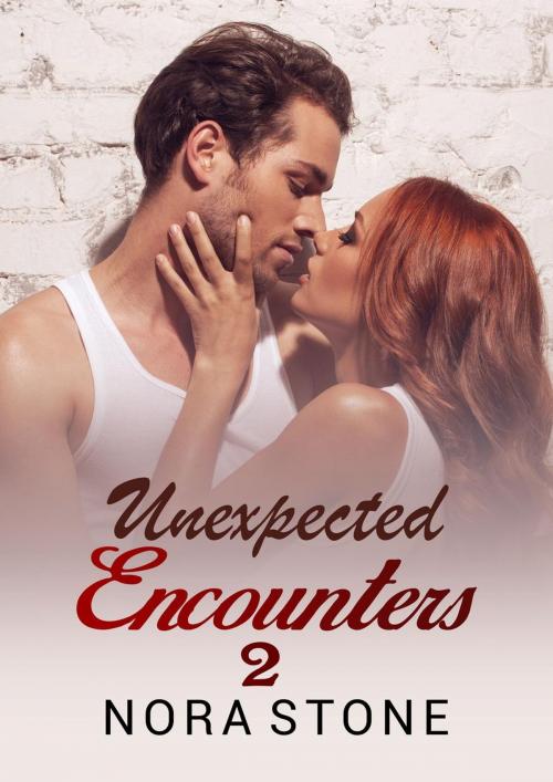 Cover of the book Unexpected Encounters 2 by Nora Stone, Mahogany Publications
