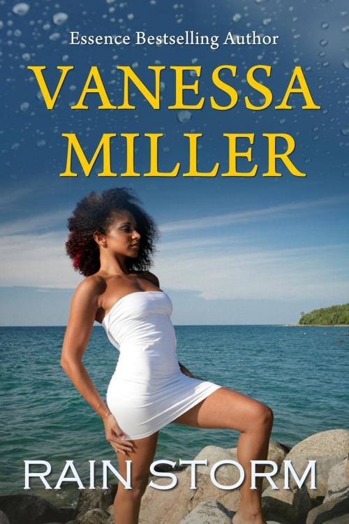 Cover of the book Rain Storm by Vanessa Miller, Vanessa Miller