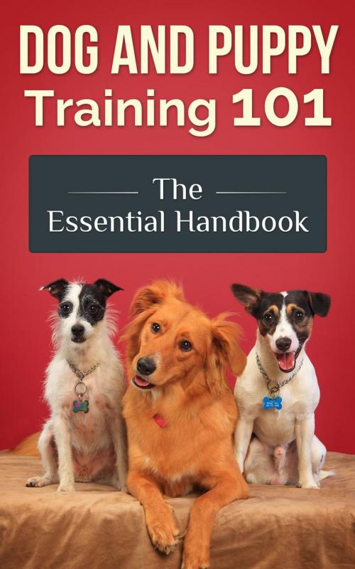 Cover of the book Dog and Puppy Training 101 - The Essential Handbook: Dog Care and Health: Raising Well-Trained, Happy, and Loving Pets by Jimmy Romo, JB Publishing Co