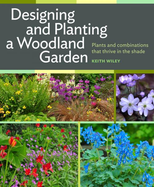 Cover of the book Designing and Planting a Woodland Garden by Keith Wiley, Timber Press
