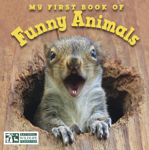 Cover of the book My First Book of Funny Animals (National Wildlife Federation) by National Wildlife Federation, Charlesbridge
