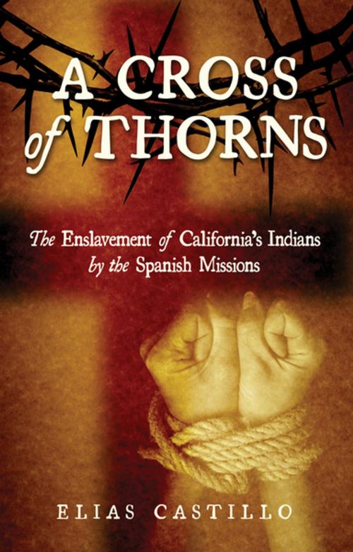 Cover of the book A Cross of Thorns by Elias Castillo, Linden Publishing