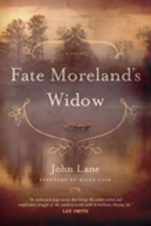 Cover of the book Fate Moreland's Widow by John Lane, University of South Carolina Press