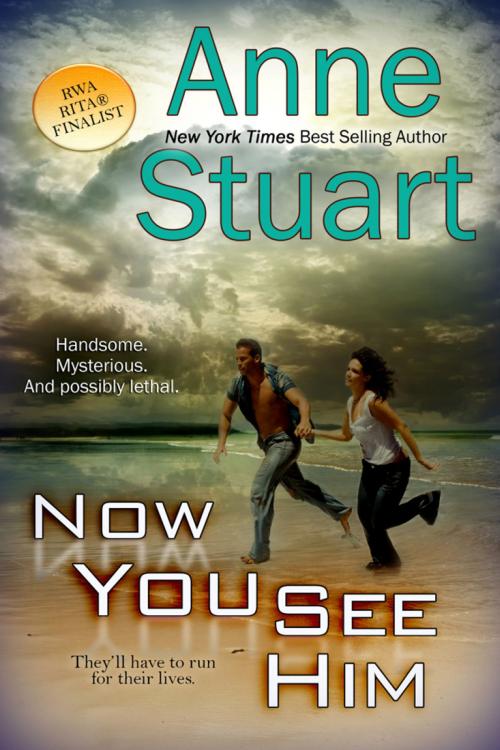 Cover of the book Now You See Him by Anne Stuart, BelleBooks, Inc.