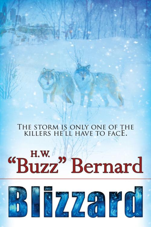 Cover of the book Blizzard by H. W. "Buzz" Bernard, BelleBooks, Inc.