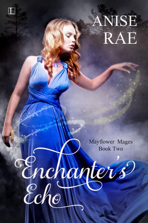 Cover of the book Enchanter's Echo by Anise Rae, Lyrical Press