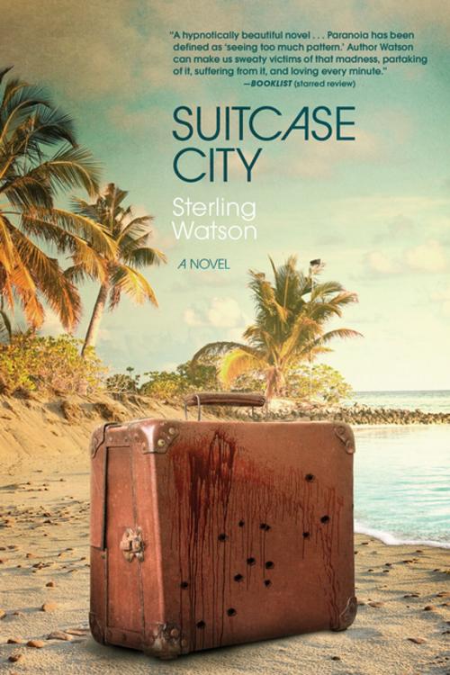 Cover of the book Suitcase City by Sterling Watson, Akashic Books