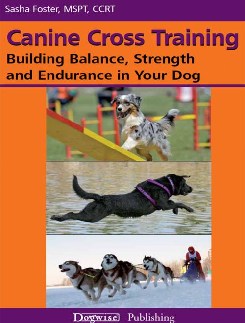 Cover of the book CANINE CROSS TRAINING by Sasha Foster, Dogwise Publishing