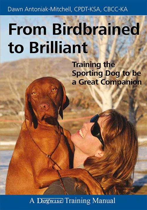 Cover of the book FROM BIRDBRAINED TO BRILLIANT by Dawn Antoniak-Mitchell, Dogwise Publishing