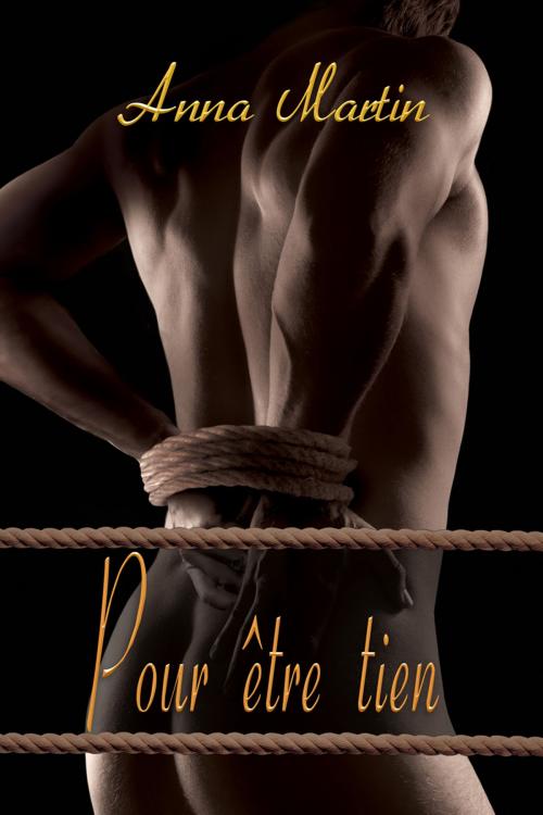 Cover of the book Pour être tien by Anna Martin, Dreamspinner Press
