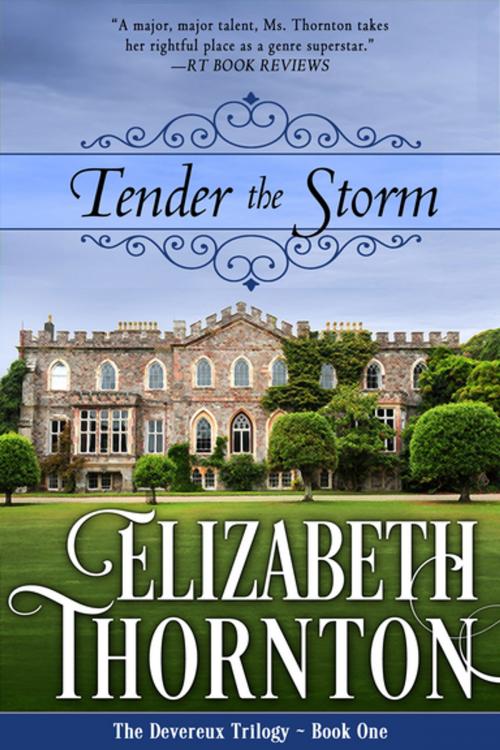 Cover of the book Tender the Storm by Elizabeth Thornton, Diversion Books