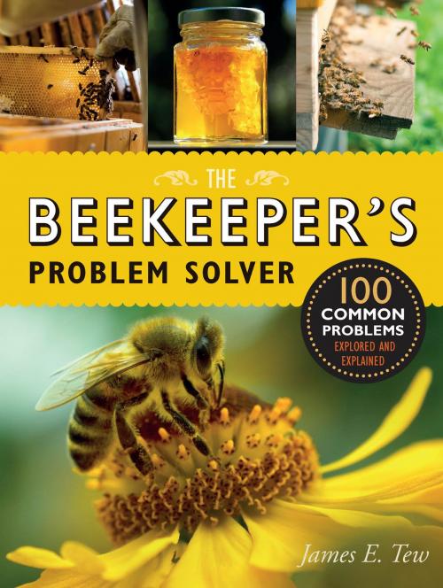 Cover of the book The Beekeeper's Problem Solver by James E. Tew, Quarry Books