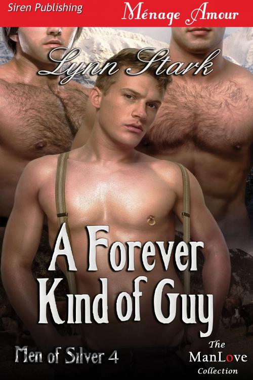 Cover of the book A Forever Kind of Guy by Lynn Stark, Siren-BookStrand