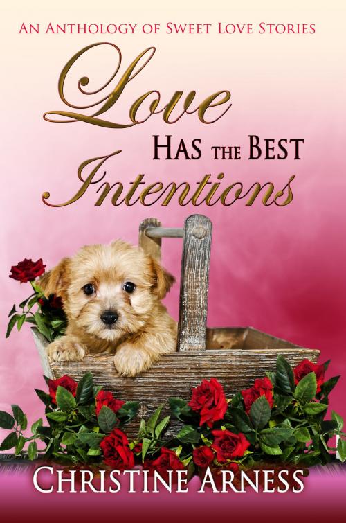 Cover of the book Love Has The Best Intentions by Christine Arness, Melange Books, LLC