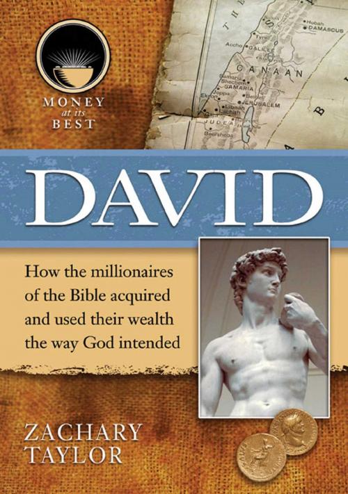 Cover of the book David by Zachary Taylor, Mason Crest
