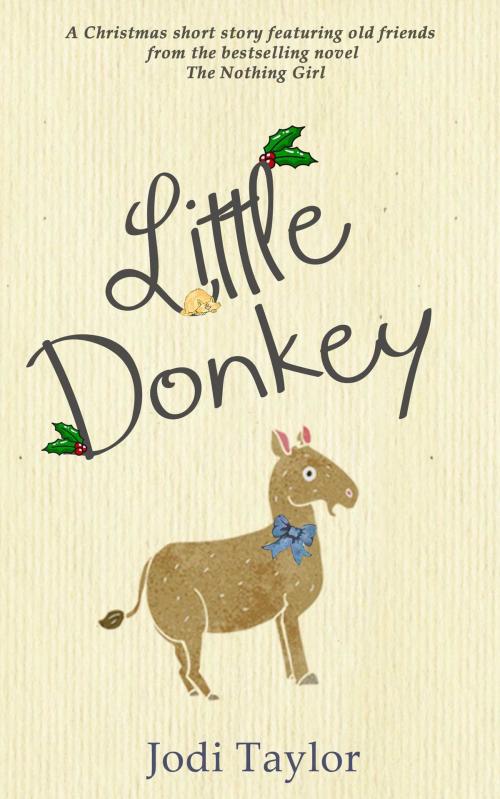 Cover of the book Little Donkey by Jodi Taylor, Accent Press