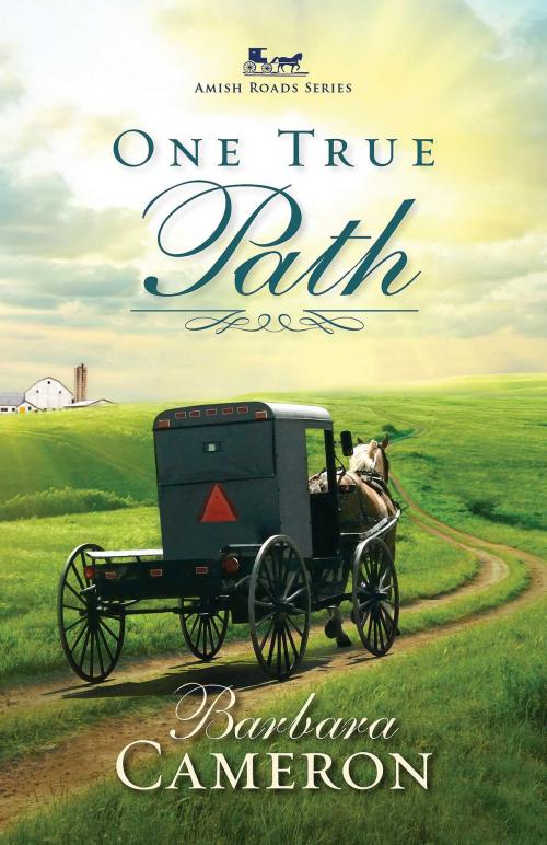 Cover of the book One True Path by Barbara Cameron, Abingdon Fiction