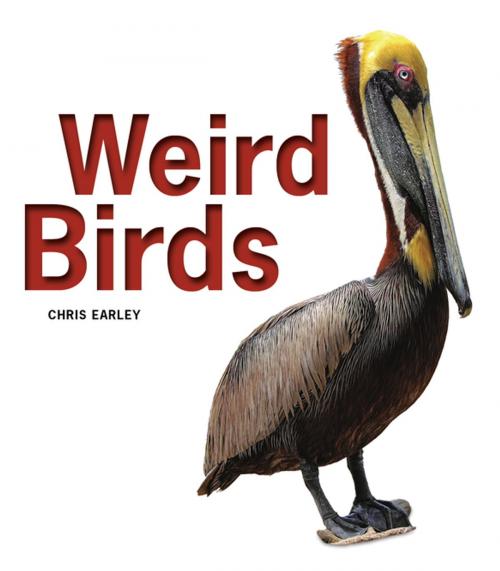 Cover of the book Weird Birds by Chris Earley, Firefly Books