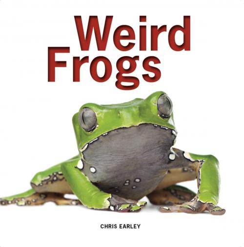 Cover of the book Weird Frogs by Chris Earley, Firefly Books