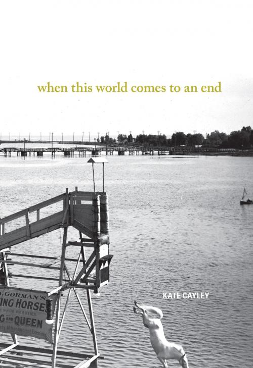 Cover of the book When This World Comes to an End by Kate Cayley, Brick Books