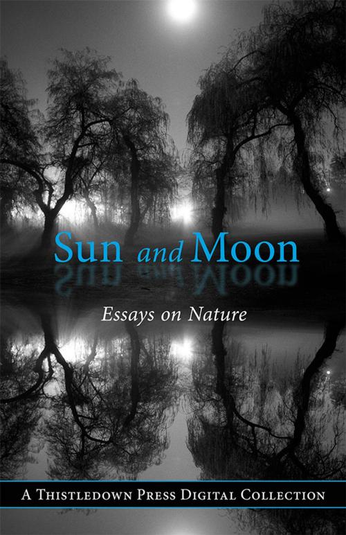 Cover of the book Moon and Sun by , Thistledown Press