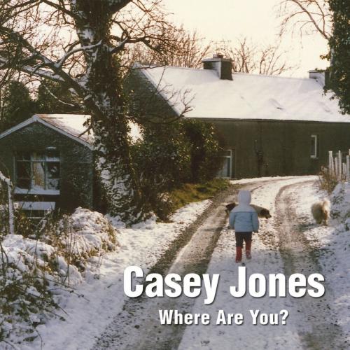 Cover of the book Casey Jones - Where Are You? A Winter Tale of a Lost Toy by Pat Preston, Grosvenor House Publishing