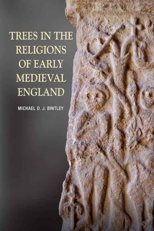 Cover of the book Trees in the Religions of Early Medieval England by Michael D.J. Bintley, Boydell & Brewer