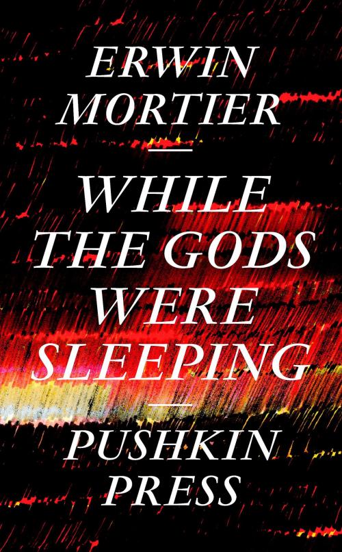 Cover of the book While the Gods Were Sleeping by Erwin Mortier, Steerforth Press