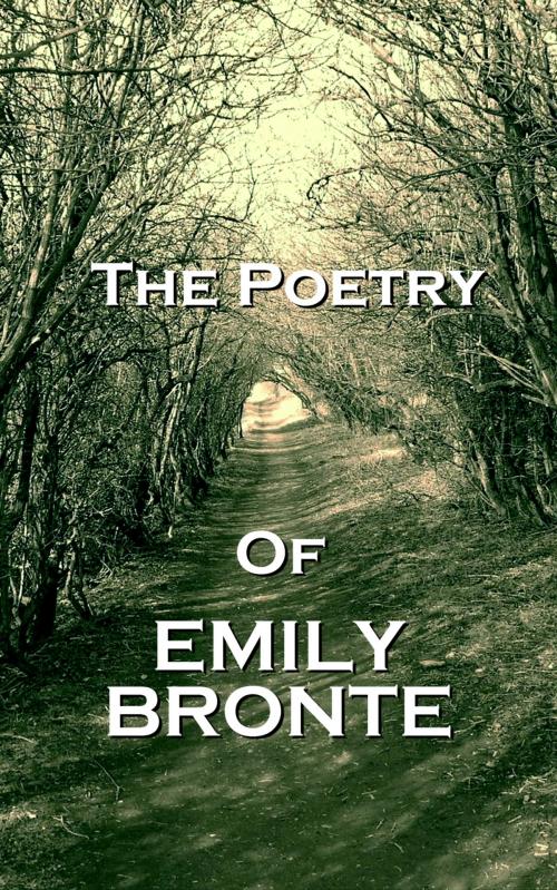Cover of the book The Poetry Of Emily Jane Bronte by Emily Jane Bronte, Deadtree Publishing
