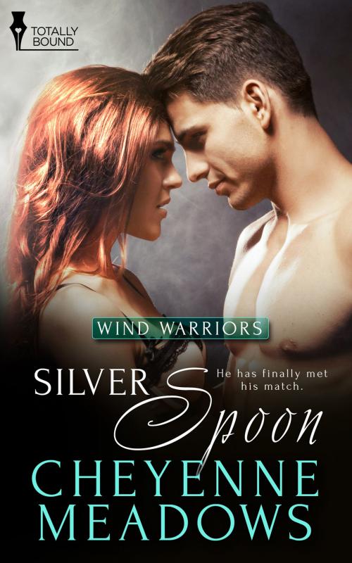 Cover of the book Silver Spoon by Cheyenne Meadows, Totally Entwined Group Ltd