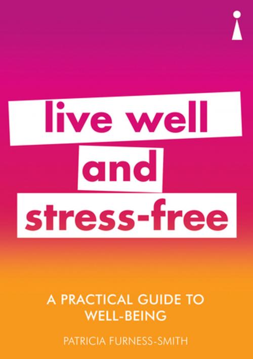 Cover of the book A Practical Guide to Well-being by Patricia Furness-Smith, Icon Books Ltd