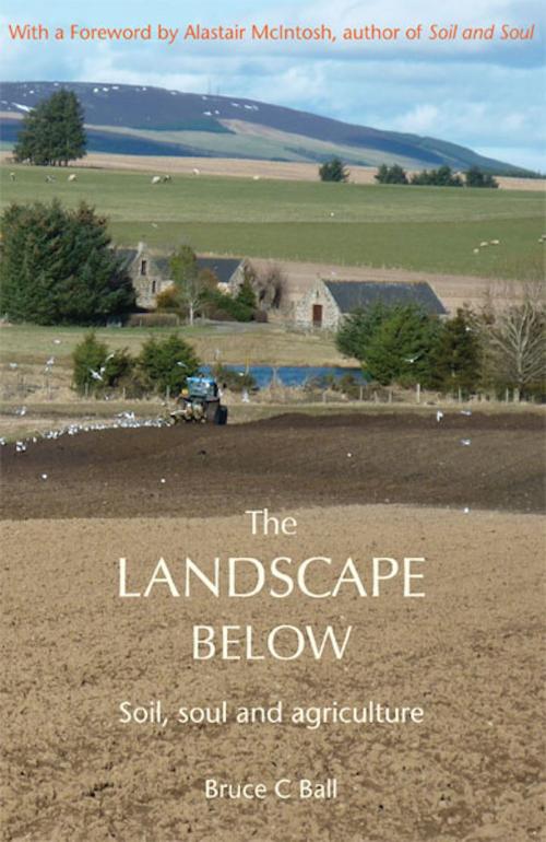 Cover of the book Landscape Below by Bruce C Ball, Wild Goose Publications