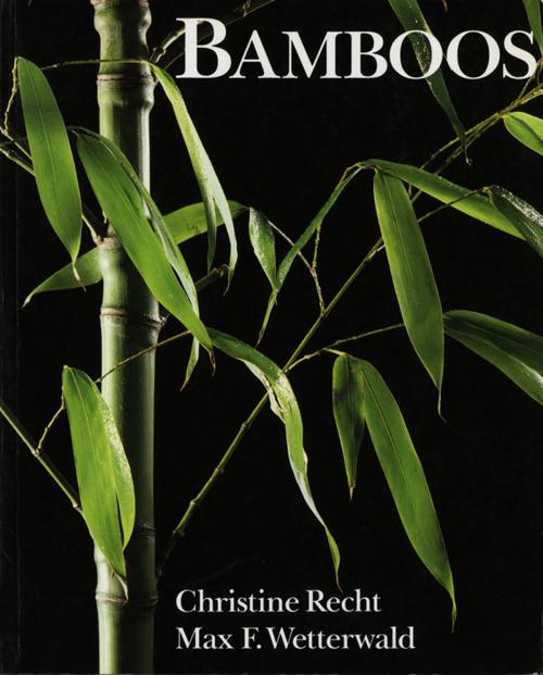Cover of the book Bamboos by Christine Recht, Max F. Max Felix Wetterwald is photographer and photograp, Pavilion Books