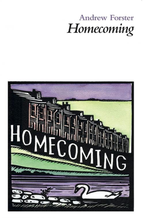 Cover of the book Homecoming by Andrew Forster, Smith Doorstop