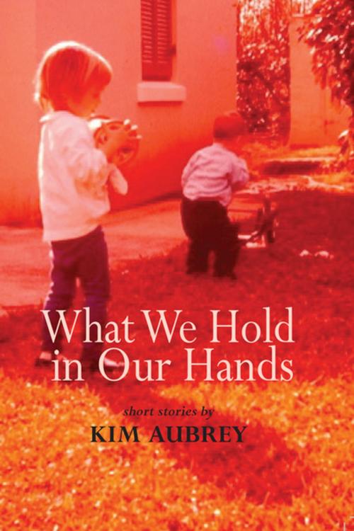 Cover of the book What We Hold In Our Hands by Kim Aubrey, Demeter Press