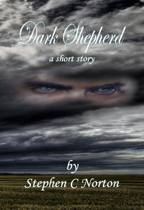Cover of the book Dark Shepherd by Stephen C Norton, Stephen C Norton