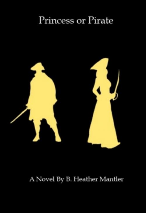 Cover of the book Princess Or Pirate by B. Heather Mantler, Lit-N-Laughter