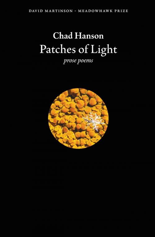 Cover of the book Patches of Light by Chad Hanson, Red Dragonfly Press