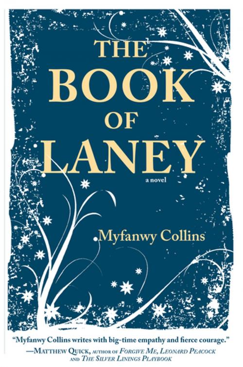 Cover of the book The Book of Laney by Myfanwy Collins, Engine Books