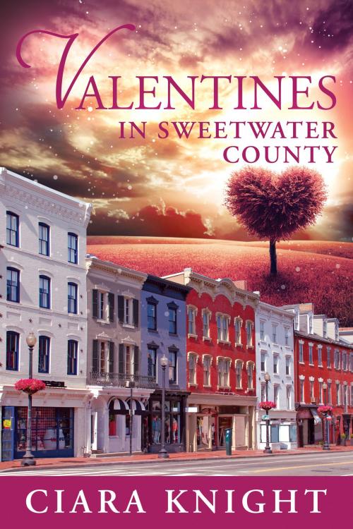 Cover of the book Valentines in Sweetwater County by Ciara Knight, Defy the Dark Publishing LLC