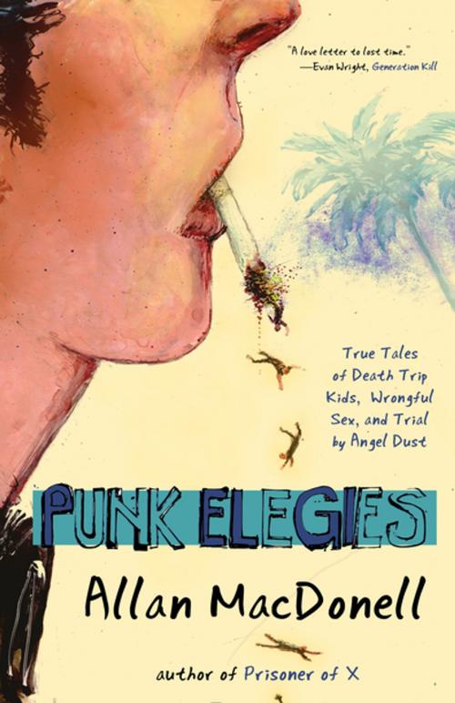 Cover of the book Punk Elegies by Allan MacDonell, Rare Bird Books