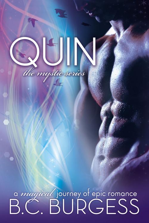 Cover of the book Quin by B.C. Burgess, Bandit Publishing